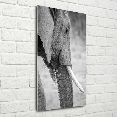 Verticale glasfoto Olifant