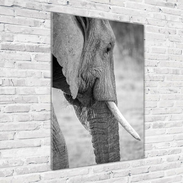 Verticale glasfoto Olifant