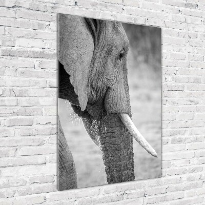 Verticale glasfoto Olifant