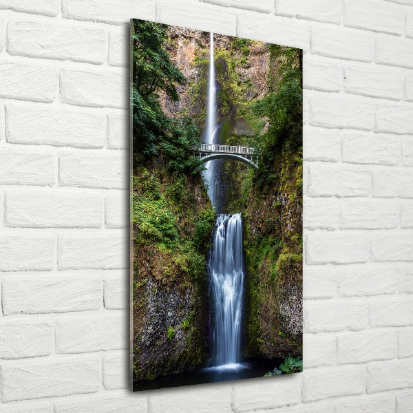 Verticale foto op glas Waterval