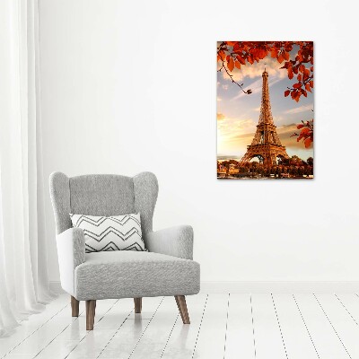 Foto obraz na szkle pionowy Wieża Eiffla Paryż