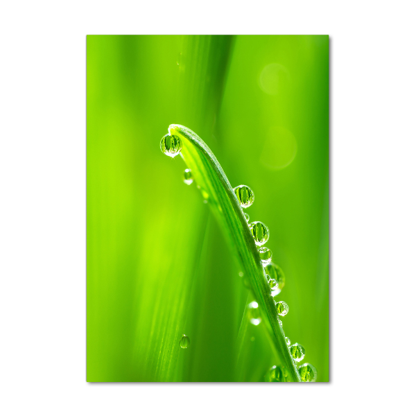 Verticale foto op glas grassprieten