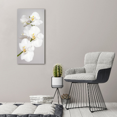 Verticale glasfoto Witte orchidee