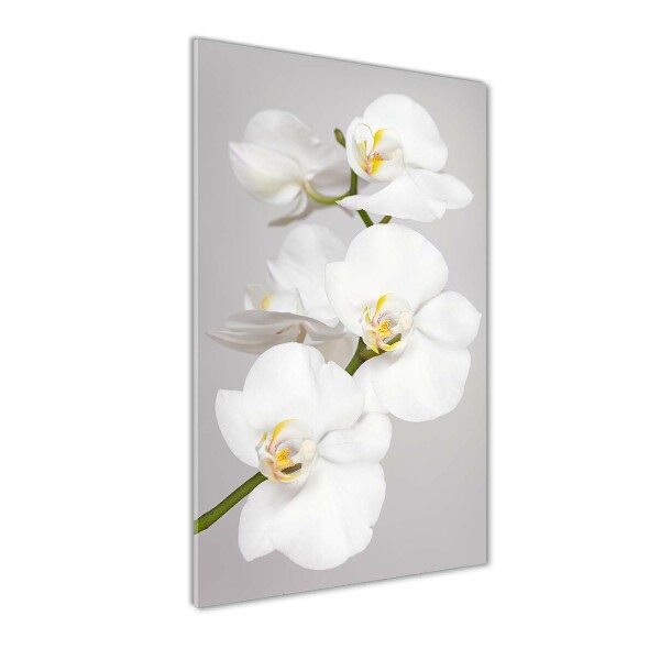 Verticale glasfoto Witte orchidee