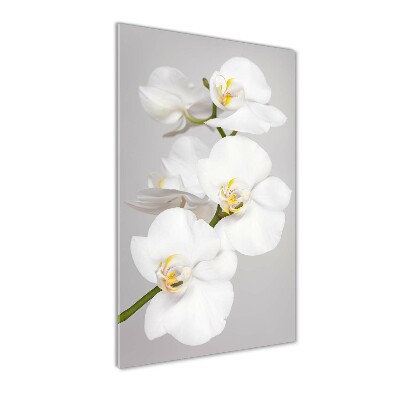 Verticale glasfoto Witte orchidee