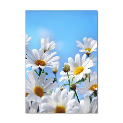 Verticaal glasschilderij Madeliefjes