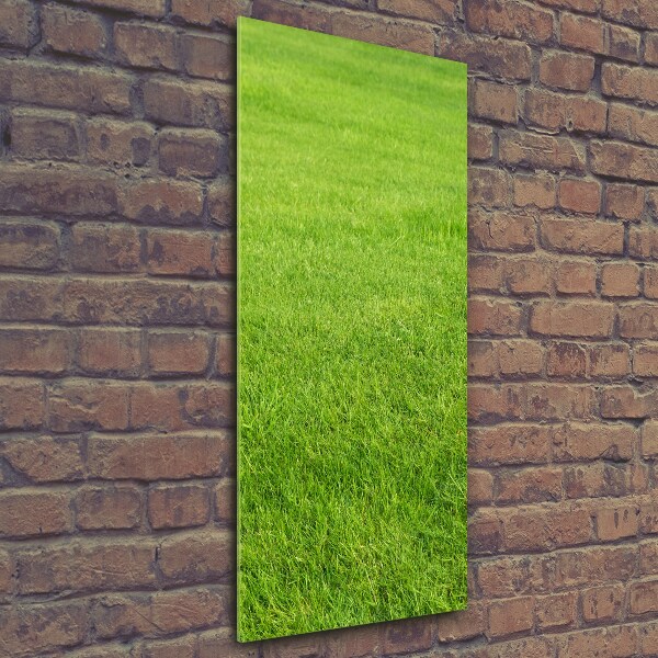 Verticale foto op glas Groen gras