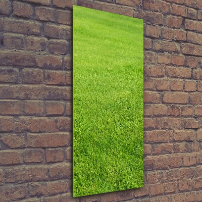 Verticale foto op glas Groen gras