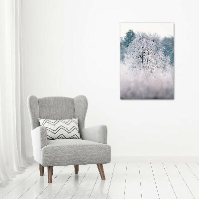 Foto-obraz szkło hartowane pionowy Las zimą