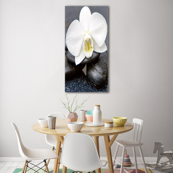 Verticale glasfoto Orchidee en stenen