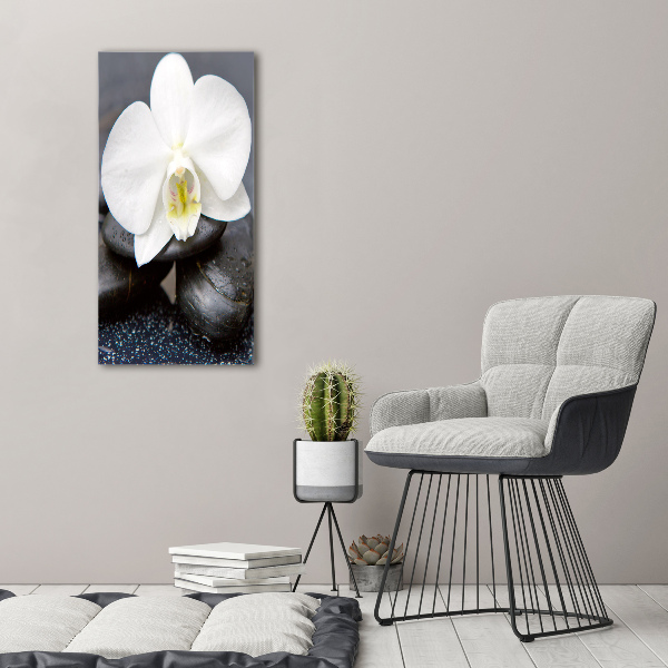Verticale glasfoto Orchidee en stenen