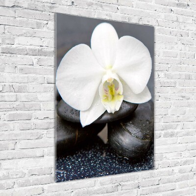 Verticale glasfoto Orchidee en stenen
