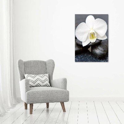 Verticale glasfoto Orchidee en stenen