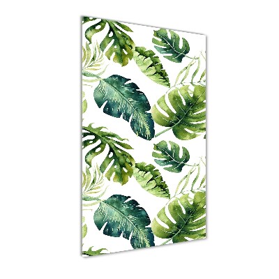 Verticale foto op glas Tropische bladeren