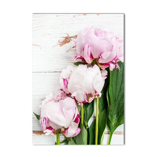 Foto-obraz zdjęcie na szkle pionowy Piwonia