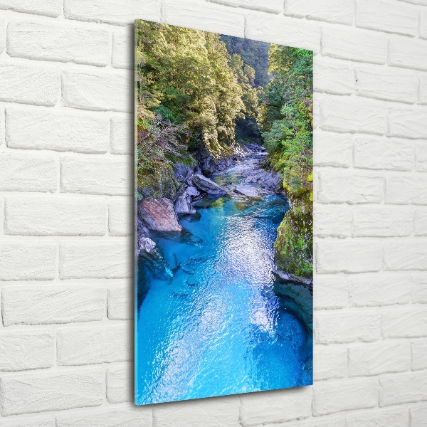 Verticale foto op glas Rivier in het bos