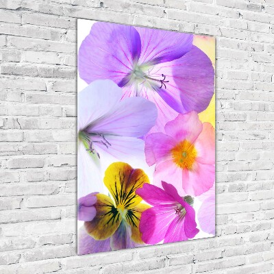 Foto obraz na szkle pionowy Kolorowe kwiaty