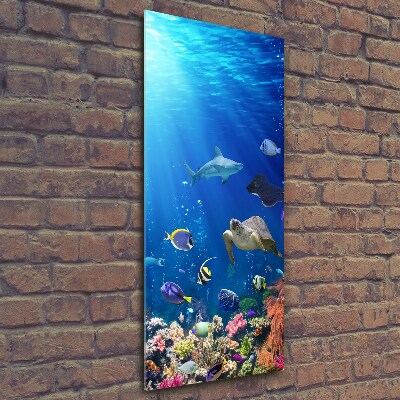 Foto obraz szkło hartowane pionowy Rafa koralowa