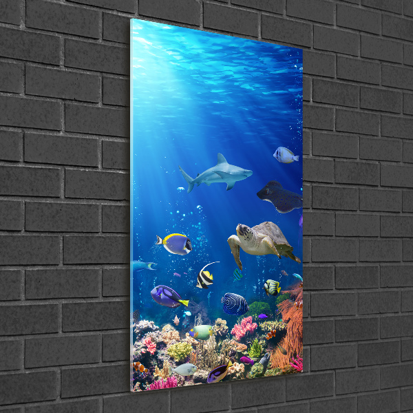 Verticaal glasschilderij Koraalrif