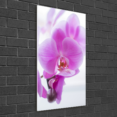 Verticaal glasschilderij Roze orchidee