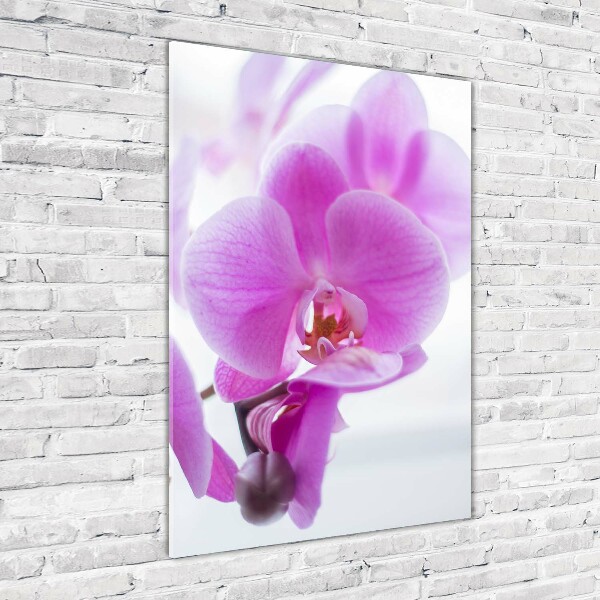 Verticaal glasschilderij Roze orchidee