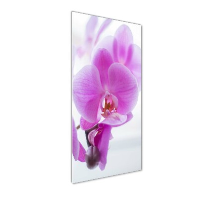 Verticaal glasschilderij Roze orchidee