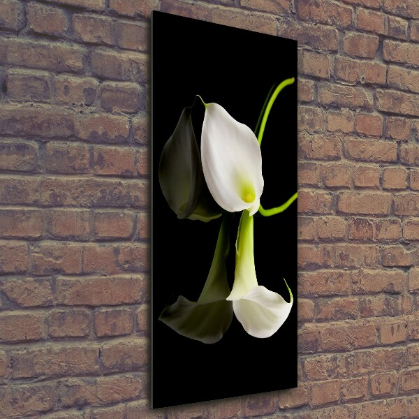 Verticale foto op glas Witte calla