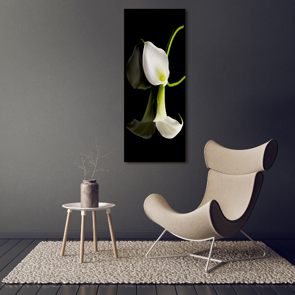 Verticale foto op glas Witte calla