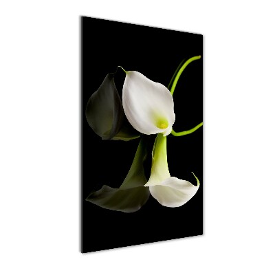 Verticale foto op glas Witte calla