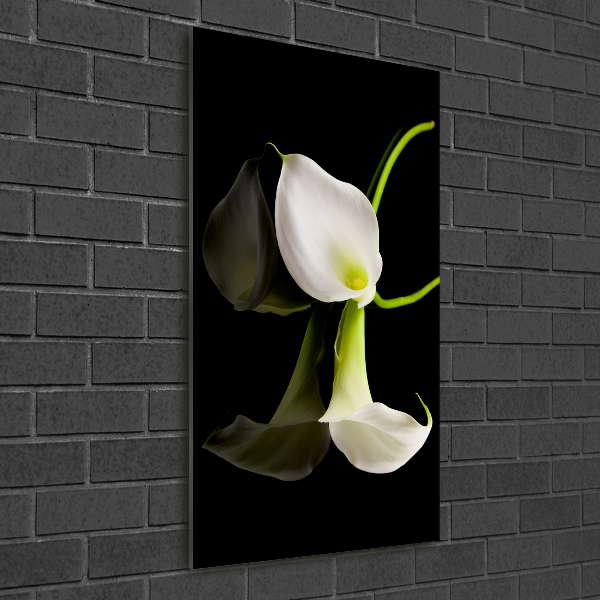 Verticale foto op glas Witte calla