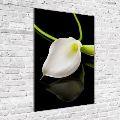 Verticale foto op glas Witte calla