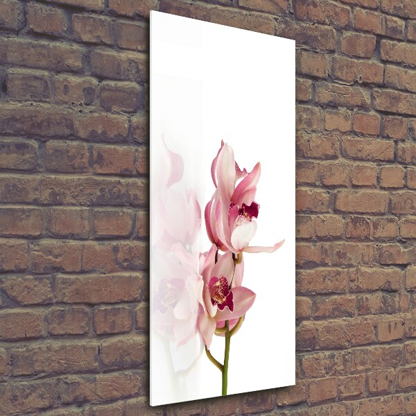 Verticaal glasschilderij Roze orchidee