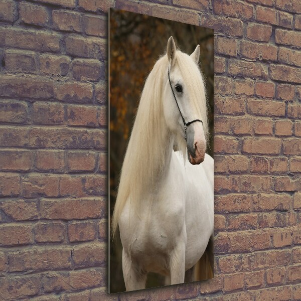 Verticale glasfoto Wit paard