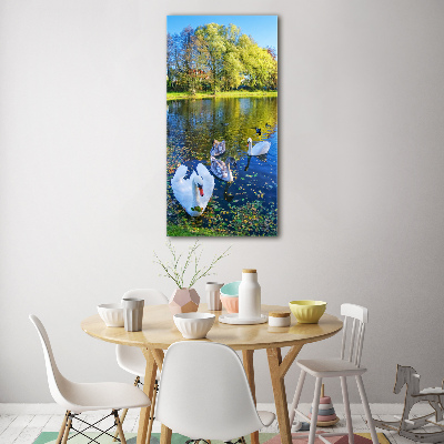 Verticale foto op glas Zwanen op de vijver