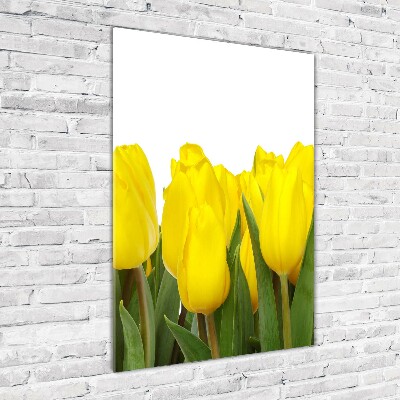 Verticale glasfoto Gele tulpen