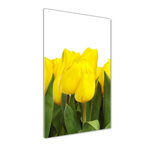 Verticale glasfoto Gele tulpen