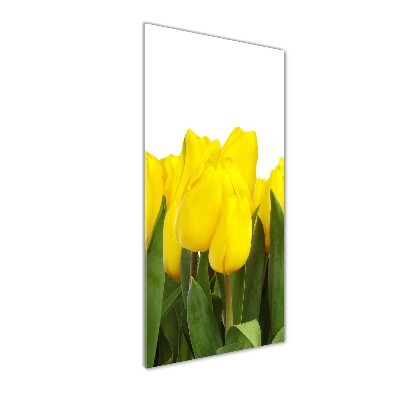Verticale glasfoto Gele tulpen