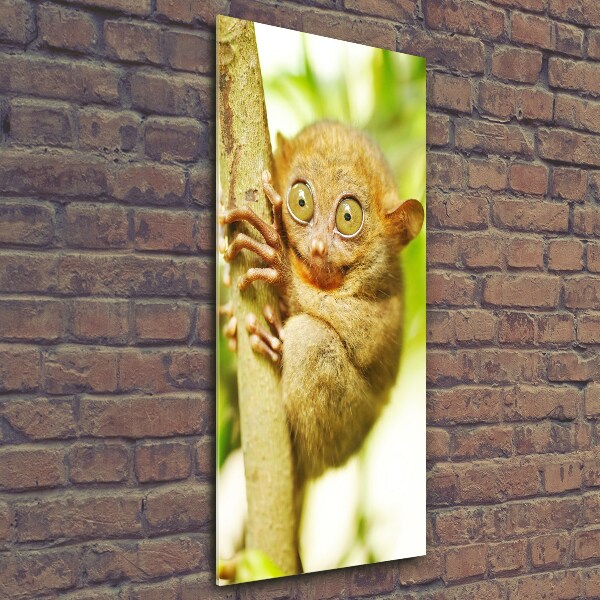 Foto obraz szkło hartowane pionowy Wyrak upiorny