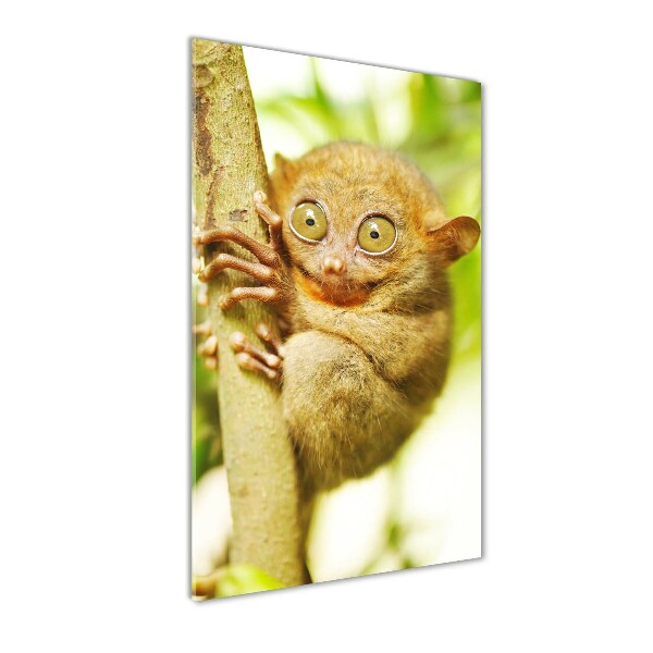 Verticaal glasschilderij Spooktarsier