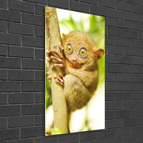 Verticaal glasschilderij Spooktarsier
