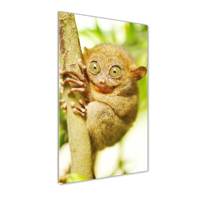 Verticaal glasschilderij Spooktarsier