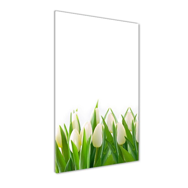 Verticale foto op glas Witte tulpen