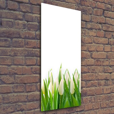 Verticale foto op glas Witte tulpen