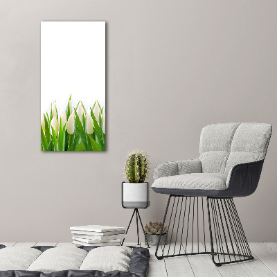 Verticale foto op glas Witte tulpen