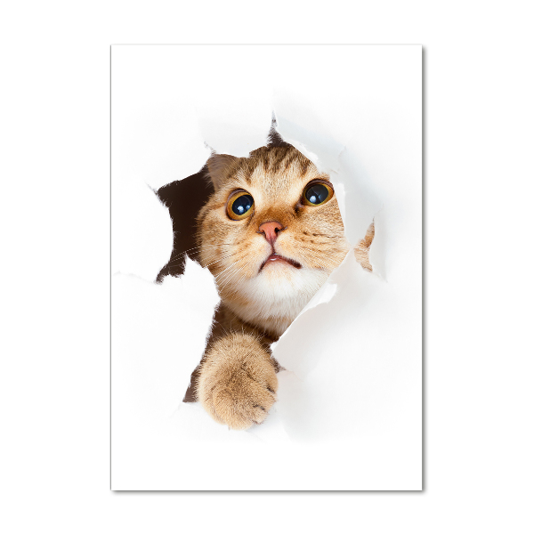 Verticale glasfoto Kat
