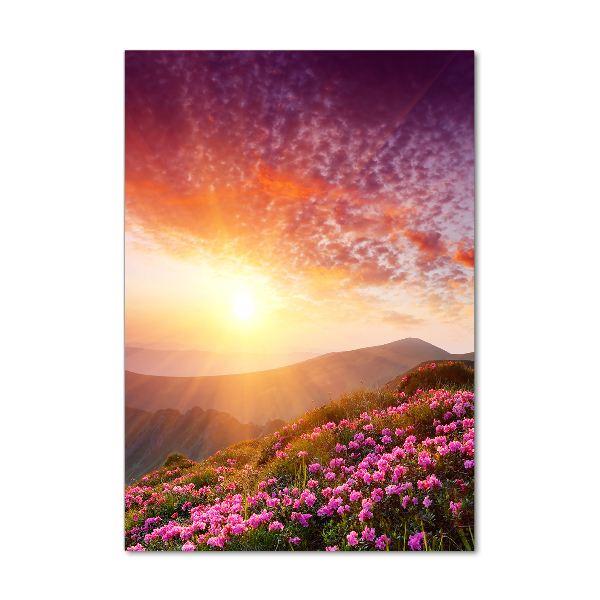 Foto obraz na szkle pionowy Wiosna w górach