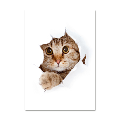 Verticaal glasschilderij Kat