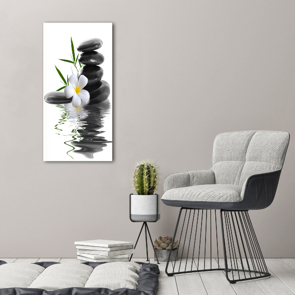 Verticale glasfoto Orchidee en stenen