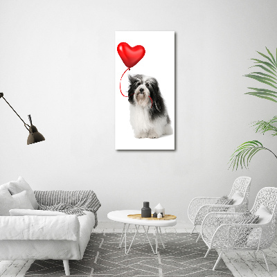 Verticale foto op glas Havanese met een ballon