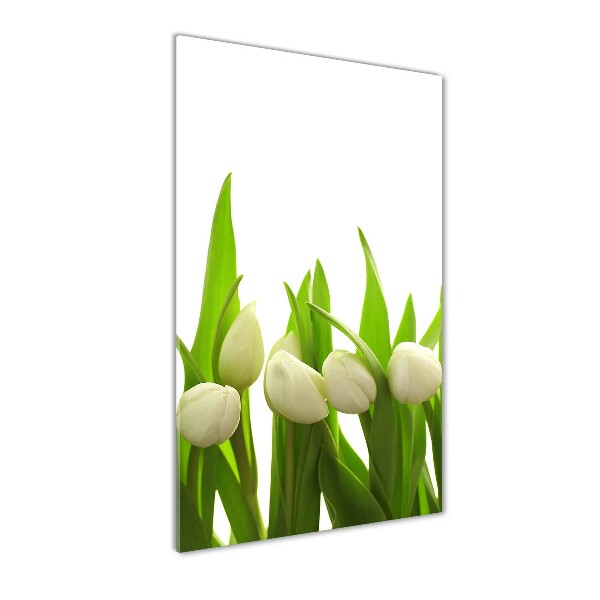 Verticale foto op glas Witte tulpen